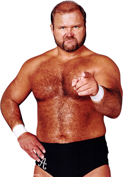 Arn Anderson